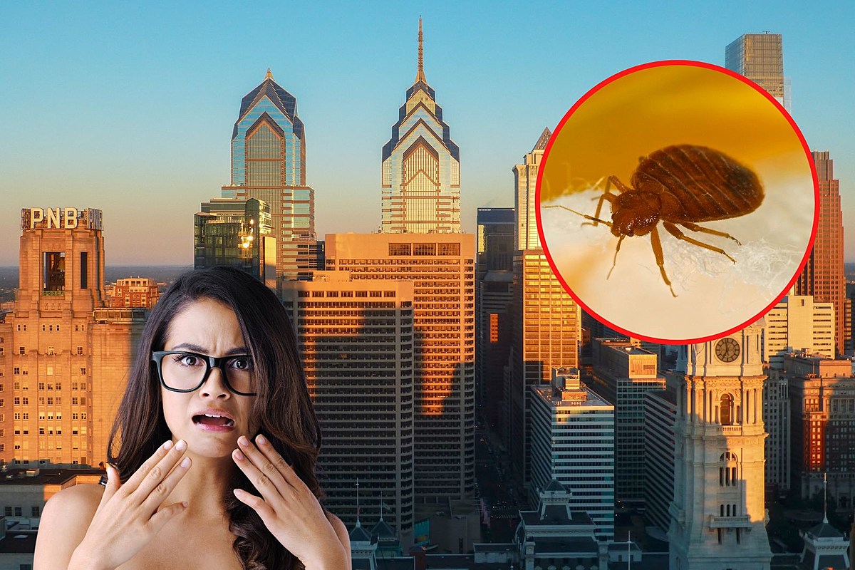 Philadelphia Ranks 3 in Biggest Bed Bug Cities 2023 — Investors
